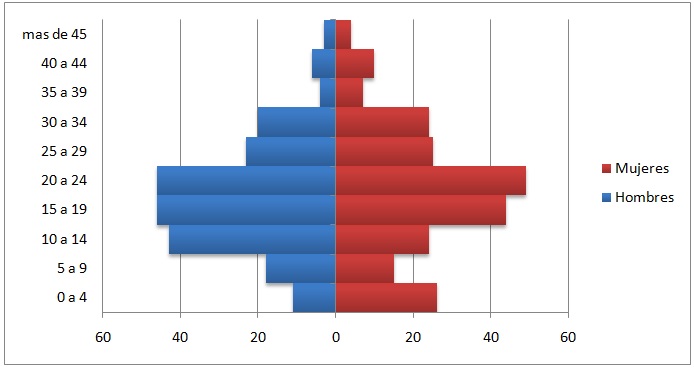 Gráfico 1 